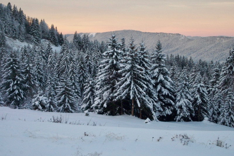 paysage hivernal - © Arcanson paysage hivernal