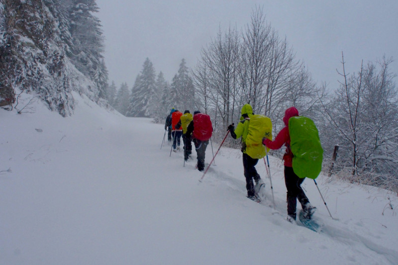 paysage hivernal - © Arcanson paysage hivernal