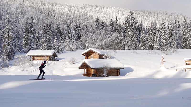 Les Chalets de Gève - © Refuge de Gève Les Chalets de Gève