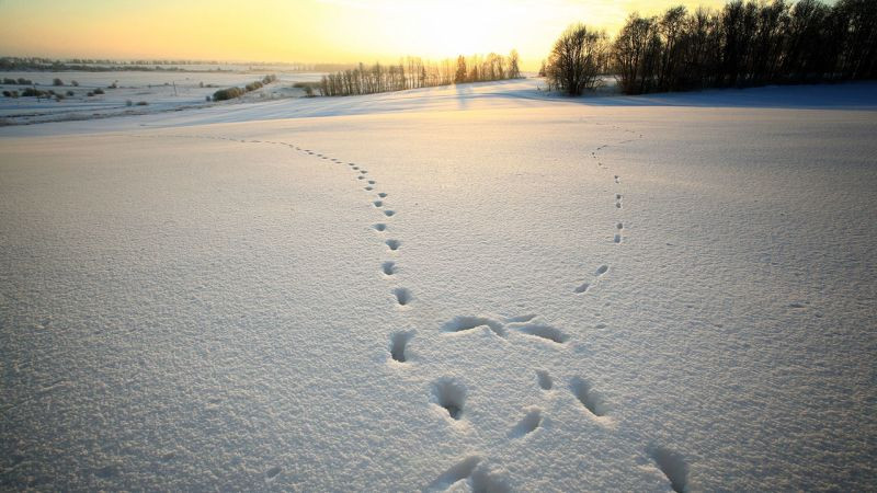 trace et paysage - © Libre trace et paysage