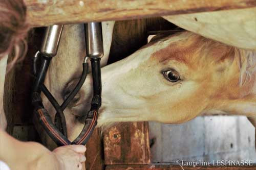 photo_1660678872078web.jpg - © Laureline Lespinasse photo_1660678872078web.jpg