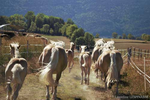 photo_1660679899714.jpg - © Laureline Lespinasse photo_1660679899714.jpg