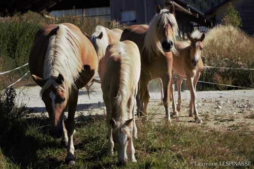 photo_1660679907638web.jpg - © Laureline Lespinasse photo_1660679907638web.jpg
