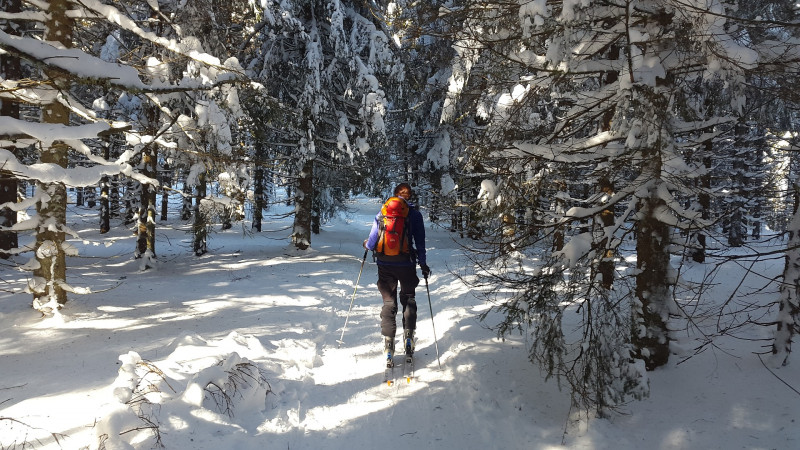 backcountry_skiiing_2004247_1920.jpg - © pixabay backcountry_skiiing_2004247_1920.jpg