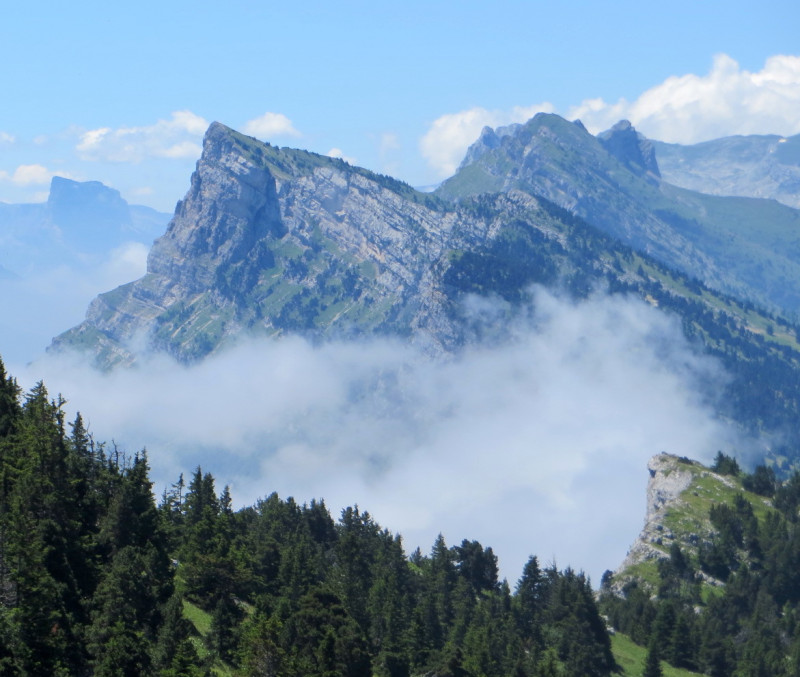 paysage