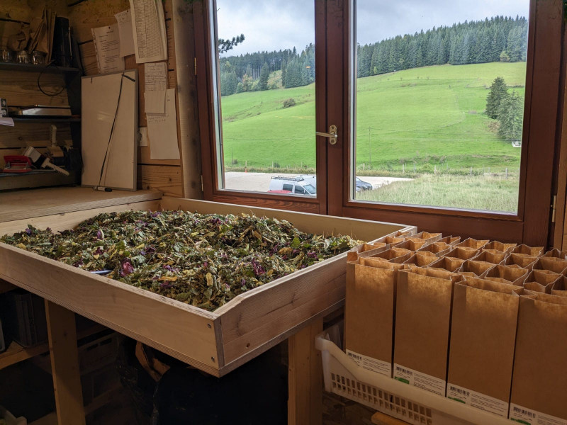 Visite d'un jardin en permaculture et atelier tisane_Autrans-Méaudre en Vercors - © Le chemin des saisons Visite d'un jardin en permaculture et atelier tisane_Autrans-Méaudre en Vercors