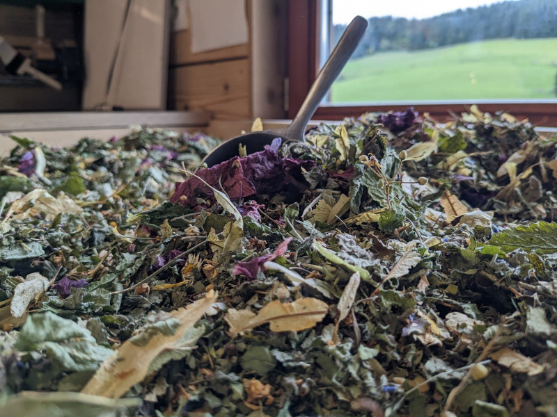 Visite d'un jardin en permaculture et atelier tisane_Autrans-Méaudre en Vercors - © Le chemin des saisons Visite d'un jardin en permaculture et atelier tisane_Autrans-Méaudre en Vercors