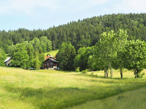 vue du chalet dans son environnement