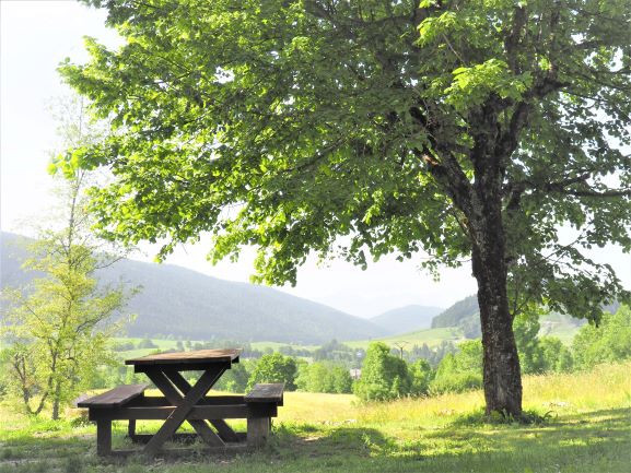 la terrasse donnant sur le jardin