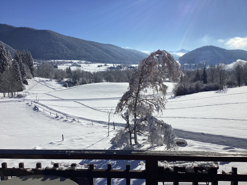vue depuis le balcon du chalet