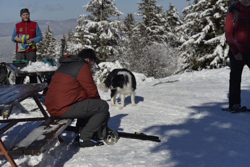 exploration du Vercors en raquettes