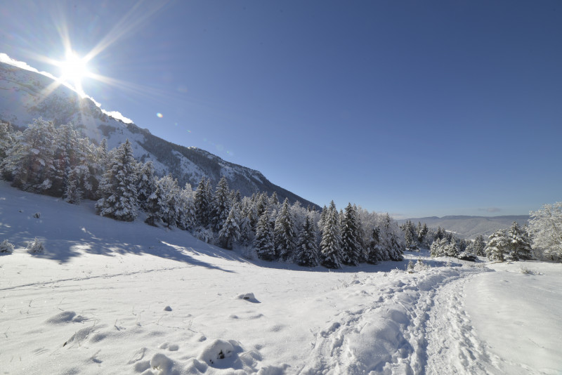 découverte raquette neige vercors