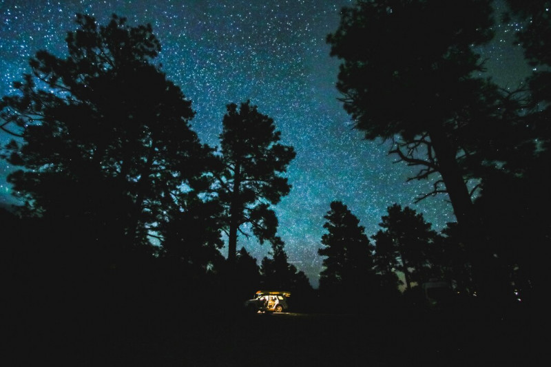 La Vie Brille sous les Étoiles