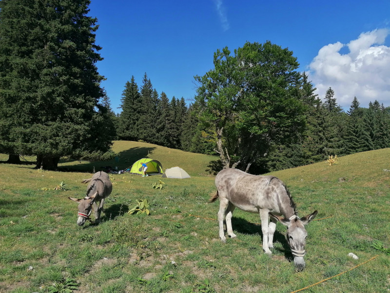 Bivouac en pleine nature Bivouac en pleine nature