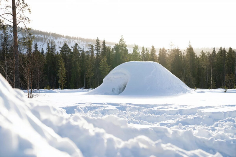 Igloo Igloo
