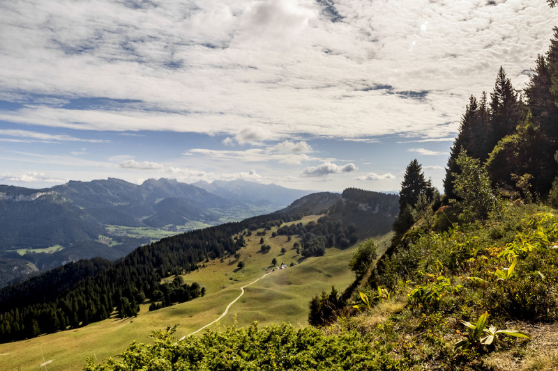 panorama