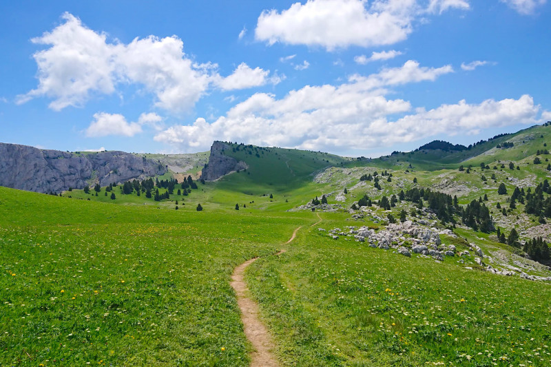 paysage