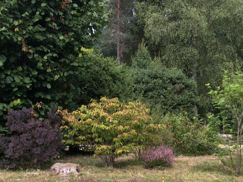 Jardin
