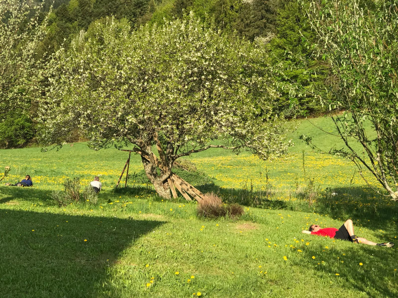Jardin