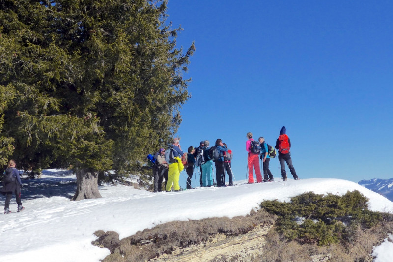 panorama hivernal