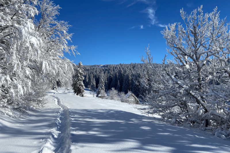 L’hiver en douceur au coeur du Vercors – Randonnée et SPA nordique_Autrans-Méaudre en Vercors - © Arcanson L’hiver en douceur au coeur du Vercors – Randonnée et SPA nordique_Autrans-Méaudre en Vercors