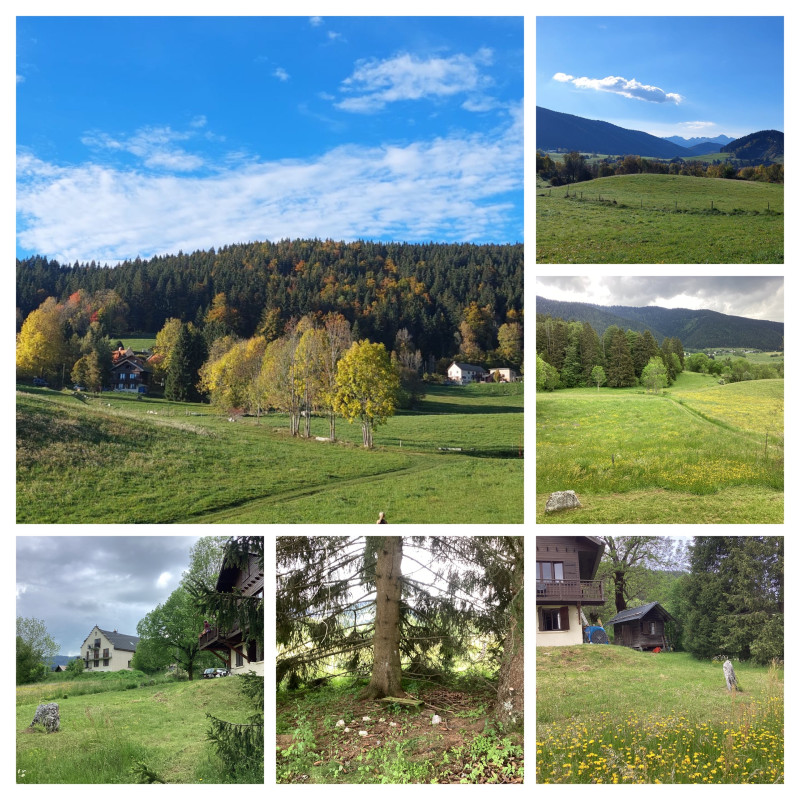 L'environnement immédiat du chalet - © Jacques Schmitt L'environnement immédiat du chalet