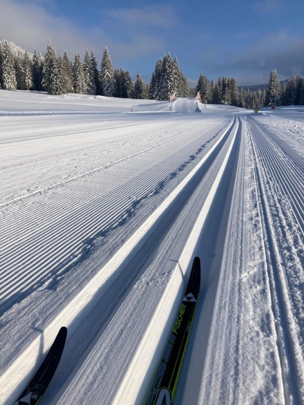 ski_classique.jpg