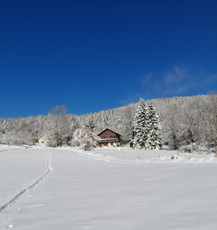 vue depuis les pistes de ski de fond - © jacques schmitt vue depuis les pistes de ski de fond