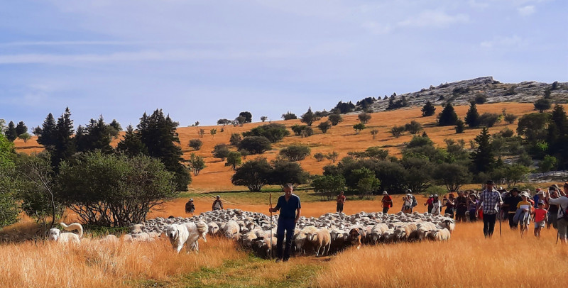 20230813-100840-837446