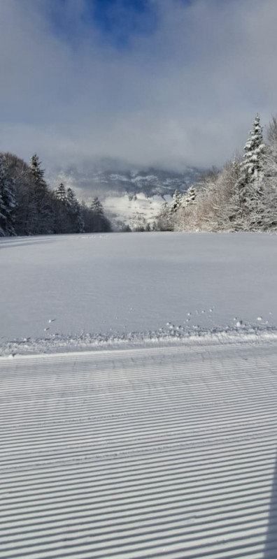 27-11-2025-4-1292822 27-11-2025-4-1292822