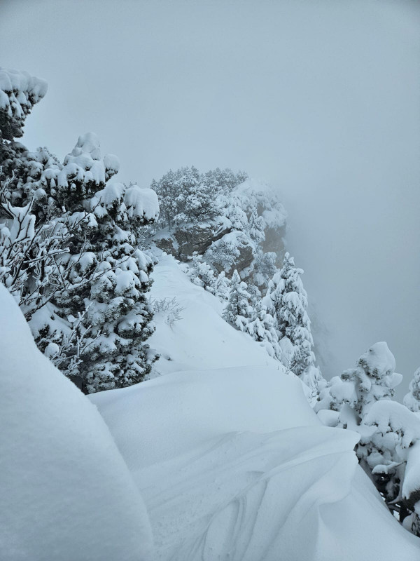 27-11-2025-6-1292823 27-11-2025-6-1292823