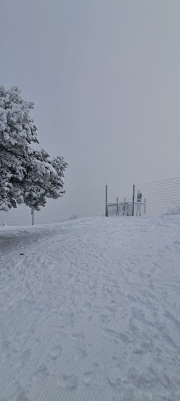 27-11-2025-7-1292821 27-11-2025-7-1292821