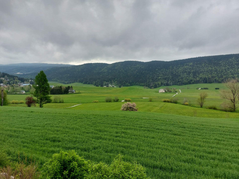 _lv_images__lot_0002150729_09_1531555 _lv_images__lot_0002150729_09_1531555