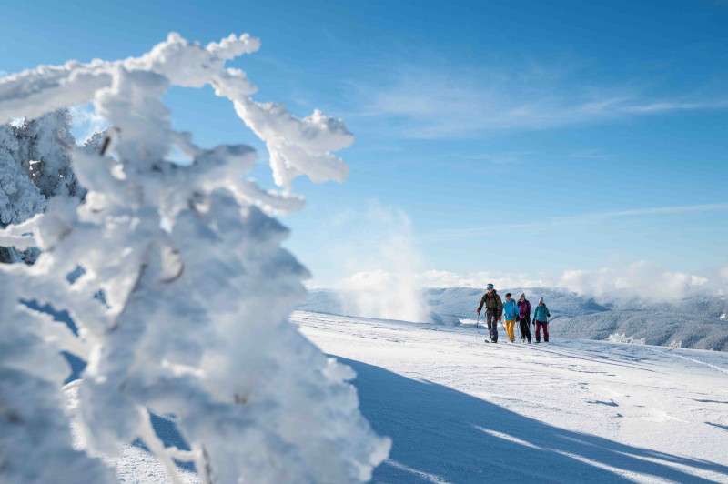 arcanson-focus-outdoor-6-1312767