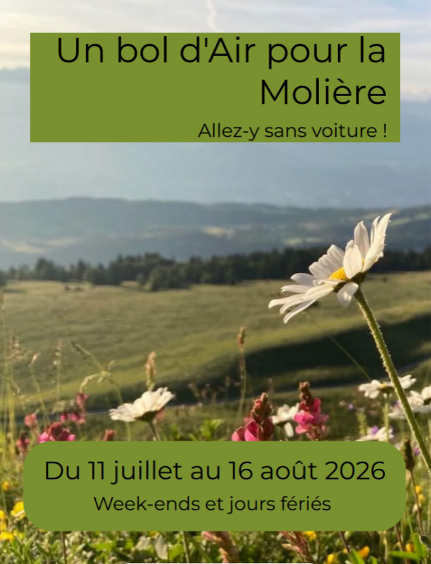 bol-d-air-2026-1510178