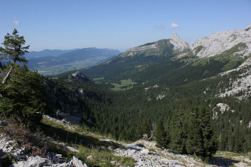 exploration-vercors-sauvage-10-nature-vercors-jpg-redim-507388