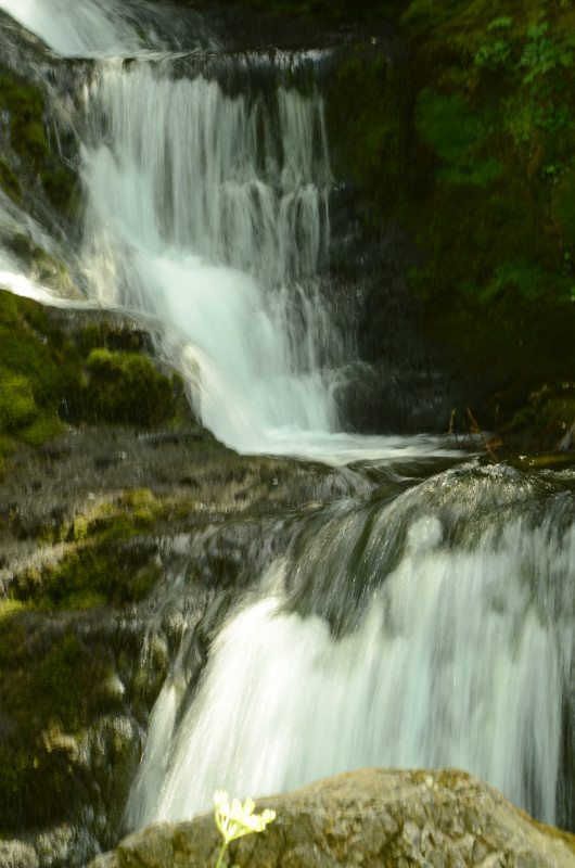 exploration-vercors-sauvage-9-507385