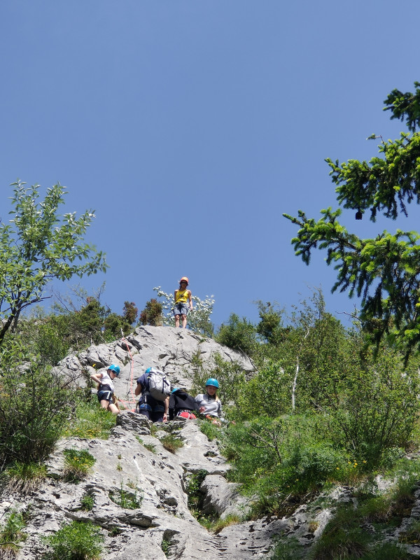 img20240619114511-1098204