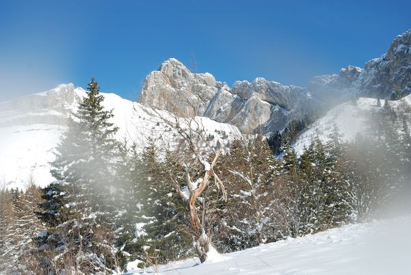 pic-lans-en-vercors-photo-accompagnteurs-nature-et-patrimoine-551
