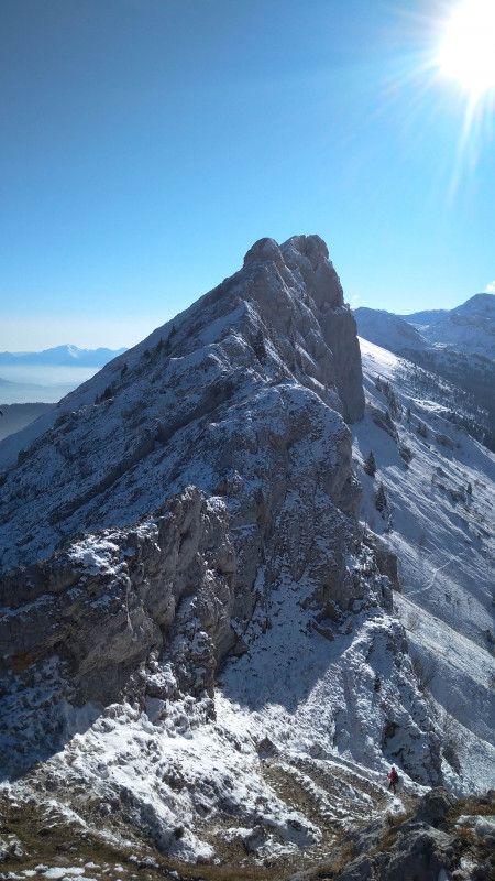 principal-raquette-vercors-journ-e-413530
