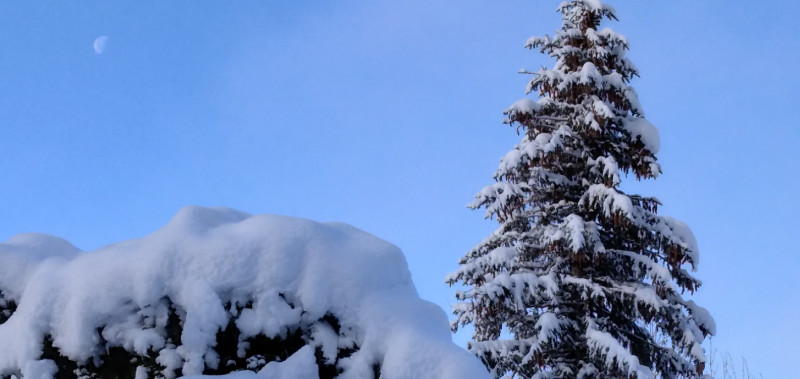 rando-nature-hiver-vercors-sauvage-1-2-696623