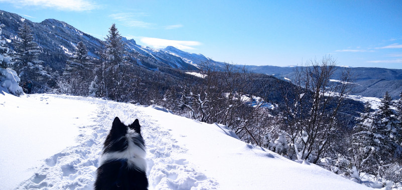 rando-nature-hiver-vercors-sauvage-8-696629