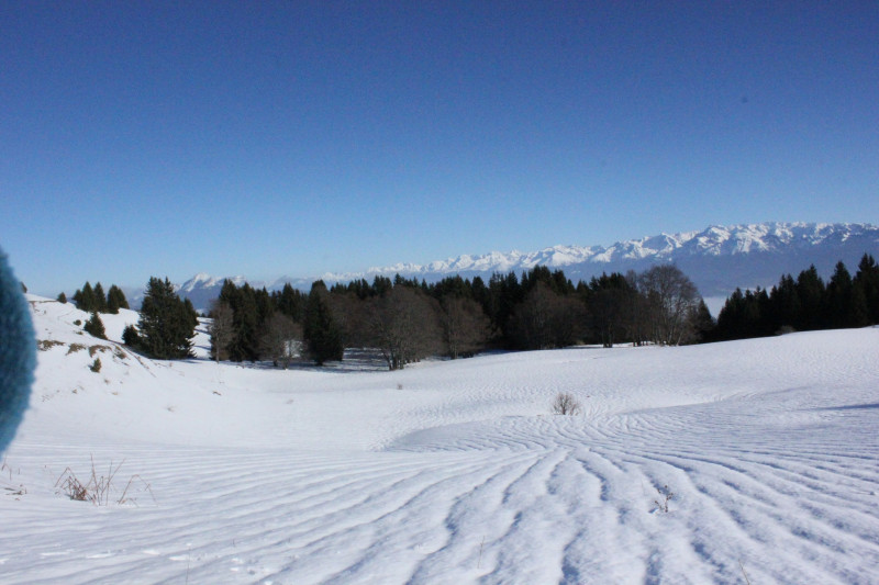 raquettes-neige-demi-j-panorama-alpes-jpg-redim-413529