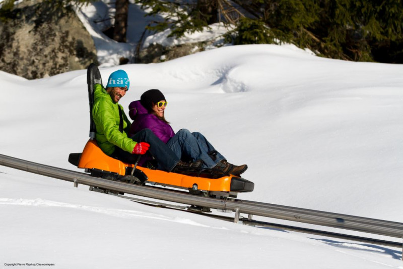 spped-luge-30736