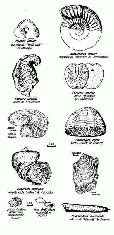 vall-e-des-fossiles-4-nature-vercors-274834