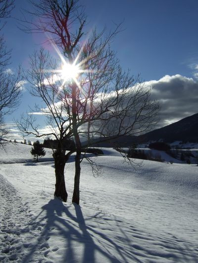 vallon-enneige-sous-soleil-photo-accompagnateurs-nature-et-patrimoine-547